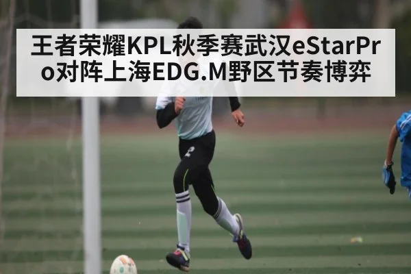 王者荣耀KPL秋季赛武汉eStarPro对阵上海EDG.M野区节奏博弈 - Xingkong